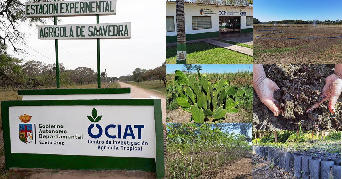 Estación Experimental Agrícola de Saavedra 