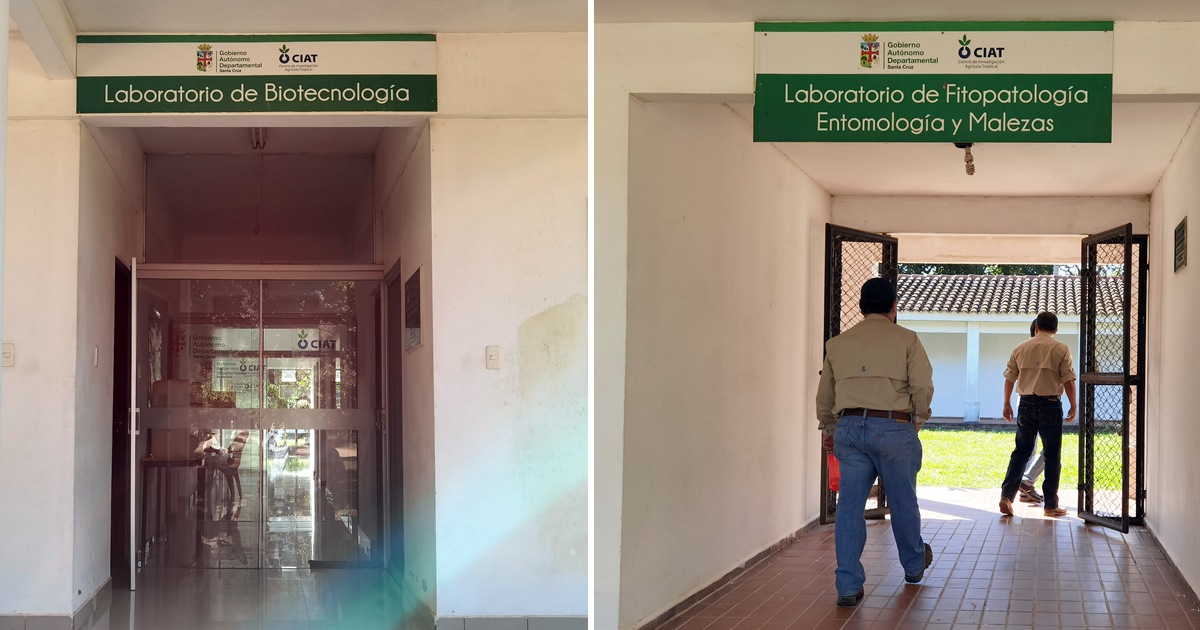 LADIPLANTAS SAAVEDRA