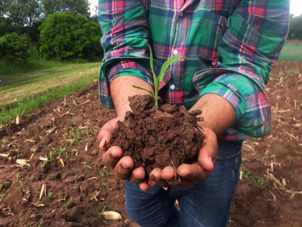 INVESTIGACIÓN Y DIFUSION DE TECNOLOGIAS PARA LA RECUPERACIÓN Y MANEJO SOSTENIBLE DE SUELOS BAJO USO AGRÍCOLA  EN EL DEPARTAMENTO DE SANTA CRUZ
